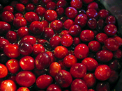 Cranberries cranberry  fruit  food